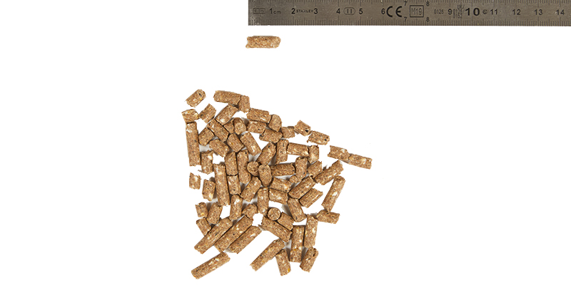 Süper Tosun Görsel 3